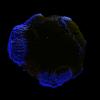 img001.jpeg.small.jpeg