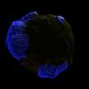 img012.jpeg.small.jpeg