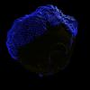 img013.jpeg.small.jpeg