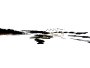 img000.jpeg.small.jpeg