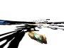 img001.jpeg.small.jpeg