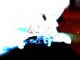 img001.jpeg.small.jpeg