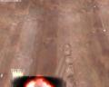 img009.jpeg.small.jpeg